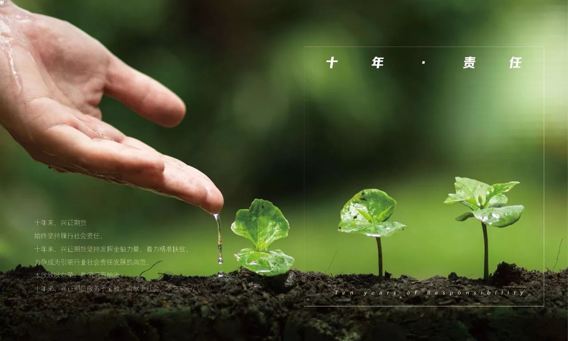 嘉源盛业电子